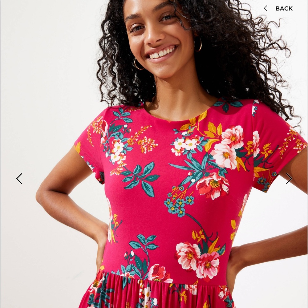 🌹HP🌹NWT LOFT  Floral Pleated Skirted Dress - Picture 3 of 6